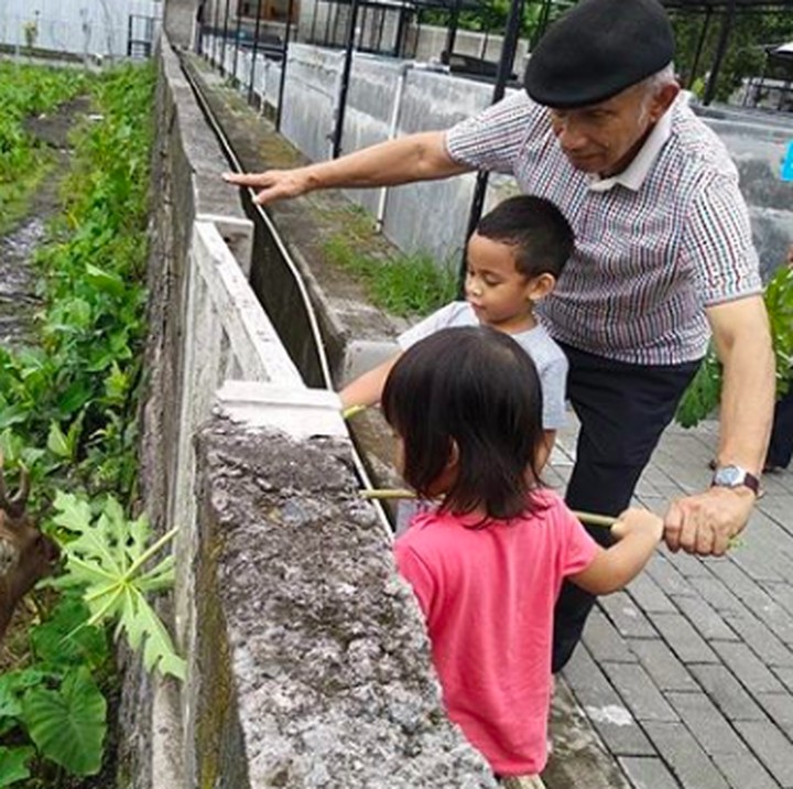 <p>Enggak cuma berkebun, rupanya Amien pun mengajak para cucunya melihat rusa. Amien dengan sabar menuntun mereka dan mengajari memberinya makanan dengan dau pepaya. (Foto: Instagram @hanumrais)</p>