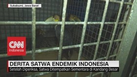 Derita Satwa Endemik Indonesia