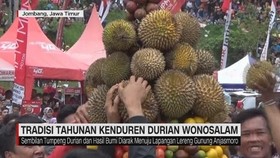 Tradisi Tahunan Kenduren Durian Wonosalam