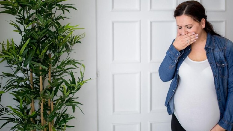 Pregnancy and nausea