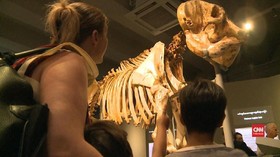 VIDEO: Myanmar Buka Museum Gajah