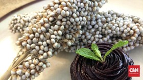 Sorgum, Makanan Pengganti Nasi yang Terlupakan