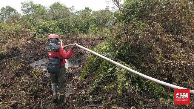 Pasukan Manggala Agni dikerahkan KLHK untuk memadamkan karhutla di Riau. Segala cara ditempuh demi memadamkan api, mulai dari cara manual hingga canggih.