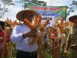 BPS Ungkap 3 Komoditas Pendongkrak Nilai Tukar Petani September 2021