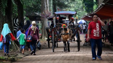 Taman Margasatwa Ragunan