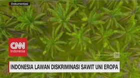 Indonesia Lawan Diskriminasi Sawit Uni Eropa