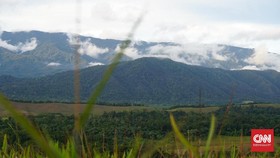 Kemenkes: Oksigen Langka di Papua karena Akses Sulit