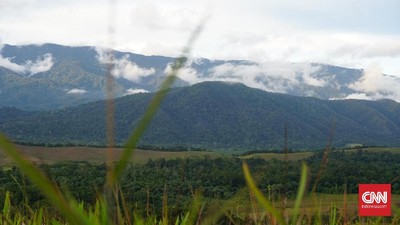 Pemerintah Sebut Provinsi Papua Pegunungan Masih Nihil Akses Darat