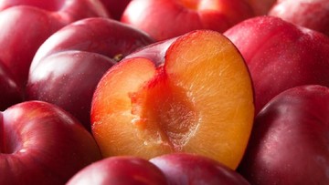 CARA MEMILIH SEBELUM KONSUMSI BUAH PLUM