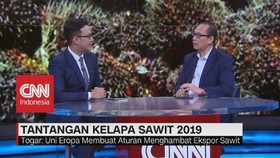 Tantangan Komoditas Sawit 2019