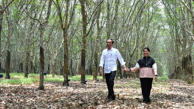 Presiden Jokowi mengeluhkan kualitas buah durian Indonesia belum memenuhi pasar ekspor, khususnya China.
