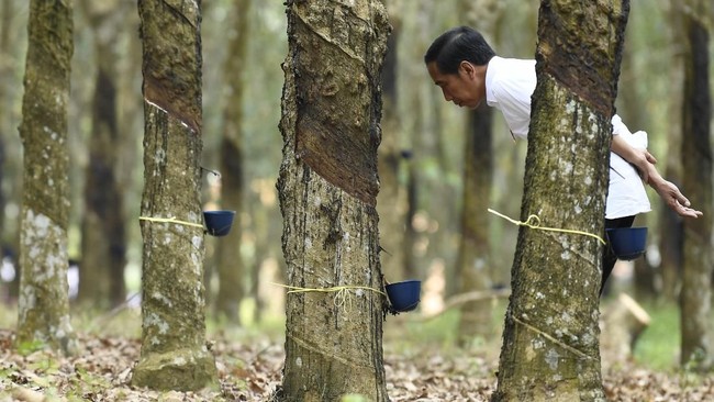 Cita-cita Jokowi untuk redistribusi lahan 9 juta ha kepada para petani masih jauh panggang dari api. Faktanya, reforma agraria belum mensejahterakan petani.