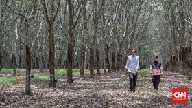 Jokowi Beri Sinyal Pindah Ibu Kota ke Kalimantan