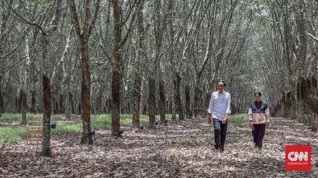 Jokowi memberi sinyal pemindahan ibu kota di luar Pulau Jawa, yakni di Kalimantan, mengingat kepadatan penduduk antara Jawa dan Kalimantan terpaut jauh.