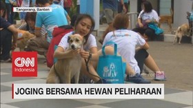 Joging bersama Hewan Peliharaan, Kenapa Tidak?