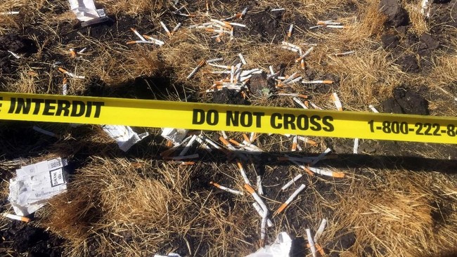 Tim pencari berhasil menemukan dua 'kotak hitam' dari pesawat Boeing 737-8 MAX bernomor penerbangan ET 302 maskapai Ethiopian Airlines yang jatuh.