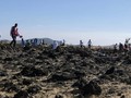 Sampel DNA WNI Korban Ethiopian Airlines Diserahkan