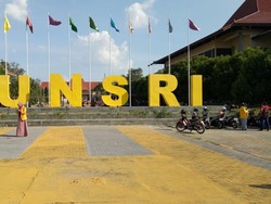 Cek Kabar Harimau Masuk Kampus, BKSDA: Hanya Ada Jejak Babi di Unsri