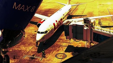Larangan Terbang Boeing 737