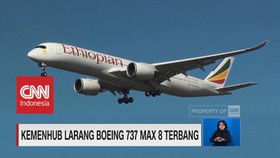 Kemenhub Larang Boeing 737 Max 8 Terbang untuk Sementara