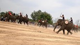 FOTO: Balap Gajah ala Vietnam Festival gajah Buon Don adalah atraksi wisata utama di Veitnam, namun banyak aktivis hewan yang mengkritiknya.