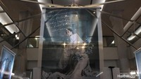 Pameran Foto #IAmTrulyWoman, Sadari Pentingnya Cegah Kanker Serviks