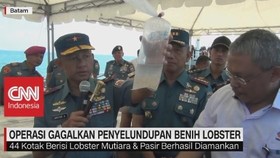 Operasi F1QR Gagalkan Penyelundupan Benih Lobster