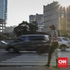 Petugas Wanita ( Gaswan) Dishub DKI Jakarta bertugas menjaga pelican cross dan area pejalan kaki disekitar kawasan jalan Jendral Udirman. Jakarta, Kamis, 14 Maret 2019.