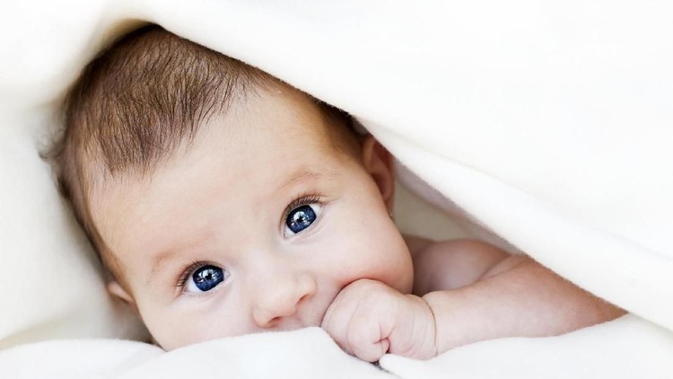 Ada banyak pilihan nama bayi terkait alam, termasuk langit. Nah, kali ini HaiBunda mengulas nama bayi bermakna langit. Yuk cek di sini, Bun.
