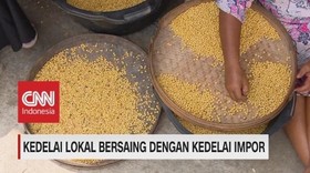 Kedelai Lokal Bersaing Dengan Kedelai Impor