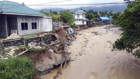 Banjir Sentani, Kombinasi Hujan Ekstrem dan Perusakan Hutan