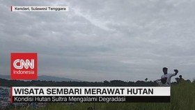 Wisata Sembari Merawat Hutan