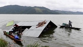 Peneliti Duga Hiu Pascabanjir Sentani Peliharaan Warga