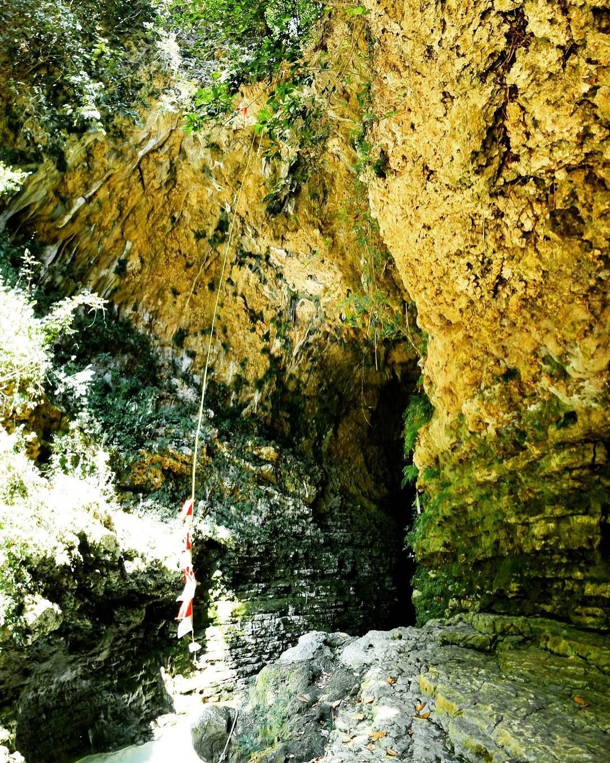 Super Junior dan TVXQ akan datang ke Indonesia dalam waktu dekat ini&period; Kedua boyband itu akan mengunjungi tempat wisata yang eksotis dan indah ini&period;