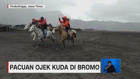 Pacuan Ojek Kuda di Bromo