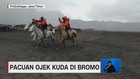 Pacuan Ojek Kuda di Bromo