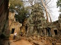 FOTO: Ta Prohm, Candinya 'Lara Croft: Tomb Raider'