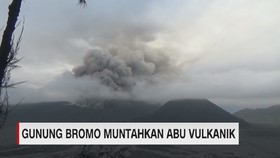 Gunung Bromo Muntahkan Abu Vulkanik