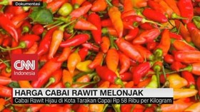 Harga Cabai Rawit Melonjak