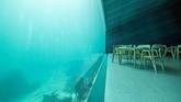 FOTO: Bersantap Nikmat di Bawah Laut Restoran bawah laut pertama Eropa dibuka di Norwegia, memberikan pengalaman bersantap bertemankan kehidupan bawah laut.