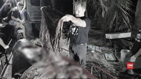 VIDEO: Lagi, Paus Mati Akibat Telan 40 Kilogram Plastik