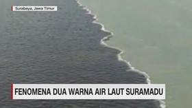 Fenomena Dua Warna Air Laut Suramadu