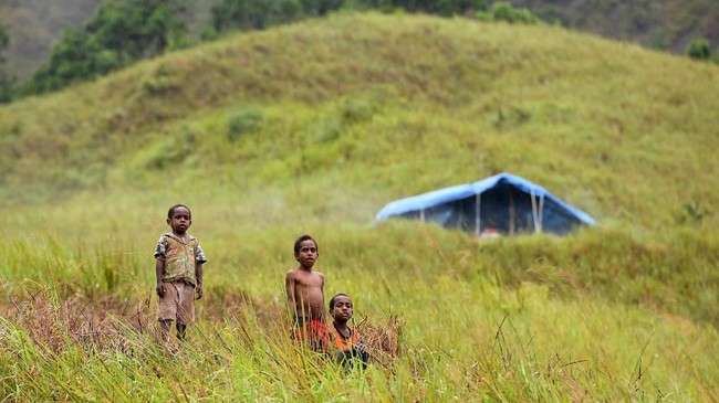 Anak usia 0-4 tahun Papua yang belum punya akta kelahiran itu tersebar di Jayapura, Jayawijaya, Biak Numfor dan Asmat.