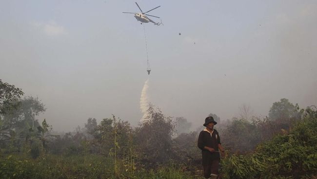 Bom Air Dinilai Paling Efektif Padamkan Karhutla