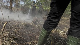 Jelang Musim Kemarau, BNPB Imbau Waspadai Kebakaran Hutan