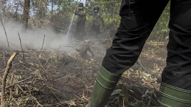 BNPB mengimbau masyarakat di daerah rawan kebakaran hutan dan lahan untuk melakukan pencegahan.