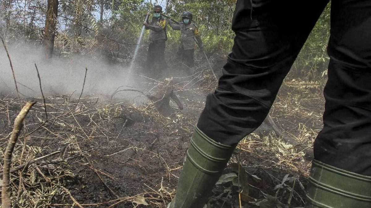 BMKG Deteksi Lonjakan 1.104 Titik Panas di Pulau Sumatera