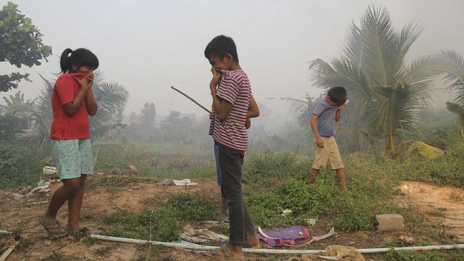 Walhi mengkritik sikap pemerintah yang dinilai masih menyalahkan masyarakat adat atas kebakaran hutan dan lahan di sejumlah daerah.