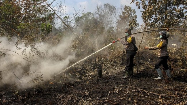 Ribuan petugas memadamkan kebakaran hutan dan lahan (karhutla) di lima provinsi, yakni Riau, Sumatera Selatan, Kalimantan Tengah, Kalimantan Barat, dan Jambi.