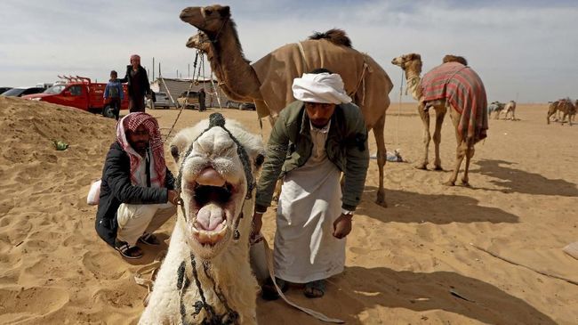 Warga Indonesia yang akan melakukan ibadah haji diminta untuk mewaspadai virus Middle East Respiratory Syndrome Corona Virus (MERS-CoV) dengan menjauhi unta.